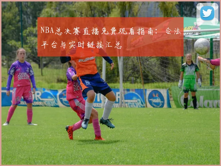 NBA总决赛直播免费观看指南：合法平台与实时链接汇总
