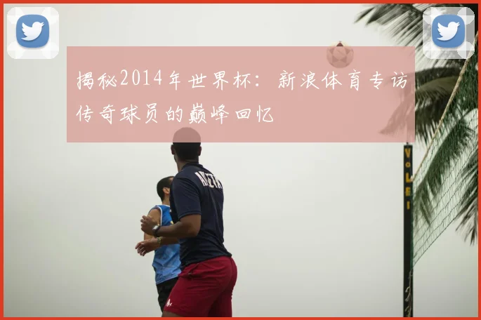 揭秘2014年世界杯：新浪体育专访传奇球员的巅峰回忆