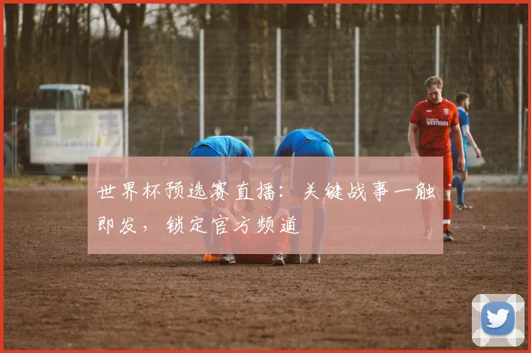 世界杯预选赛直播：关键战事一触即发，锁定官方频道