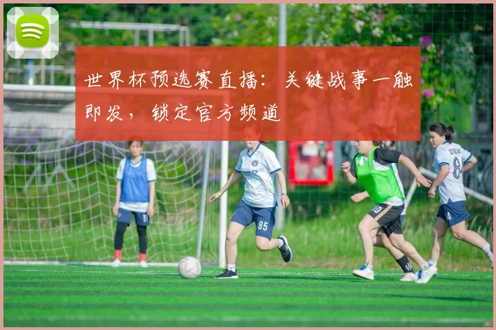世界杯预选赛直播：关键战事一触即发，锁定官方频道